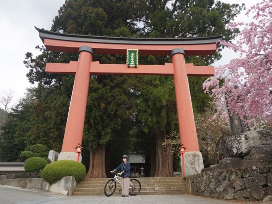 サイクリングツアー 富士河口湖周遊 自転車で世界遺産巡りの旅 ＜2時間半／午前・午後／ガイド付き／送迎付き／富士河口湖町＞