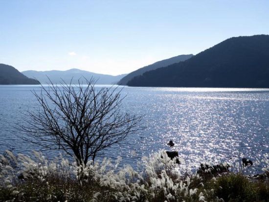 ウォーキングツアー 箱根の公園や芦ノ湖沿いをハイキング 3歳から参加OK＜午前／ハコネマウンテンリッパー／箱根＞