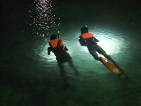 ナイトシュノーケリングツアー　幻想的な夜光虫の輝きを観察＆星空観賞　夜の海中世界を探索！＜火木土日／4～10月＞by プリシアリゾートヨロン