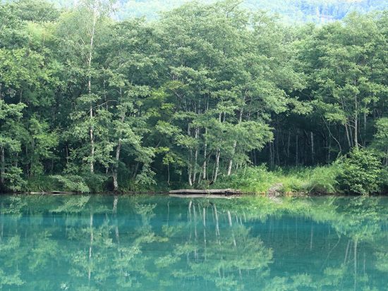 kamikouchi_4_735_480