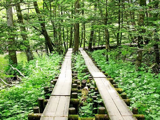 kamikouchi_3_735_480