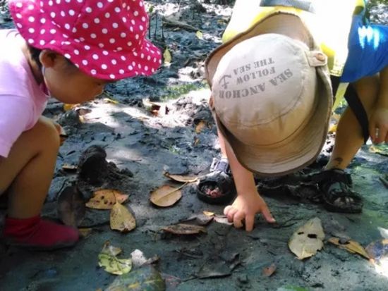 マングローブカヌー 自由自在に楽しむフリープラン 干潮時は生き物観察も！0歳～ご参加可能 お好きな時間に利用 ＜1.5時間程度／住用町＞by マングローブ茶屋