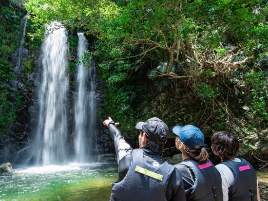やんばる清流リバートレッキングツアー　小さなお子様も安心のファミリートレッキング！＜写真・動画撮影サービス・恩納村ホテル送迎可＞by 冒険島