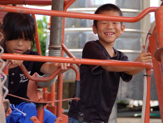 サトウキビ農家で収穫体験　おじぃと一緒にハルサー（畑人）の仕事を体感しながら沖縄の文化を学ぶ！ 地元の方との楽しい交流も＜名護市＞