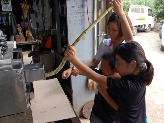 サトウキビ農家で収穫体験　おじぃと一緒にハルサー（畑人）の仕事を体感しながら沖縄の文化を学ぶ！ 地元の方との楽しい交流も＜名護市＞