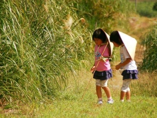 サトウキビ農家で収穫体験　おじぃと一緒にハルサー（畑人）の仕事を体感しながら沖縄の文化を学ぶ！ 地元の方との楽しい交流も＜名護市＞