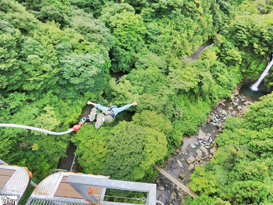 バンジージャンプ ブリッジスウィング 空のアクティビティ 静岡の観光 遊び 体験 レジャー専門予約サイト Veltra ベルトラ