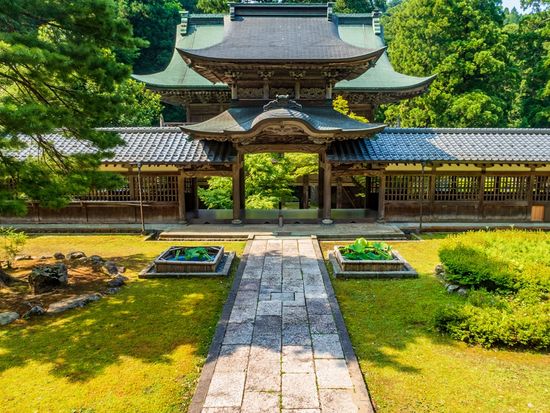 shutterstock_1311705740