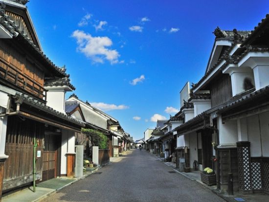 貸切3都市周遊ツアー　三好・美馬・阿波を制覇！　大歩危峡遊覧船＋かずら橋＋うだつの町並＋阿波の土柱　日本三大秘境と世界三大土柱＜8時間／1～9名／徳島市発＞