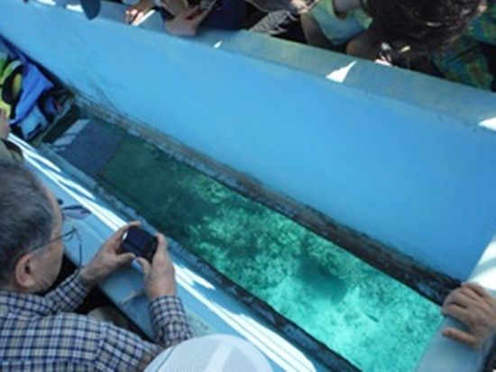 20160920083244_1441320386_13026_0