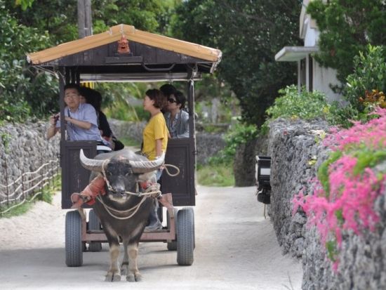 幻の島上陸＋シュノーケリング＋竹富島観光ツアー　石垣島⇔竹富島の乗船券付き！ ＜3歳から参加可能／竹富島MAP付き／石垣港付近送迎／石垣島発＞