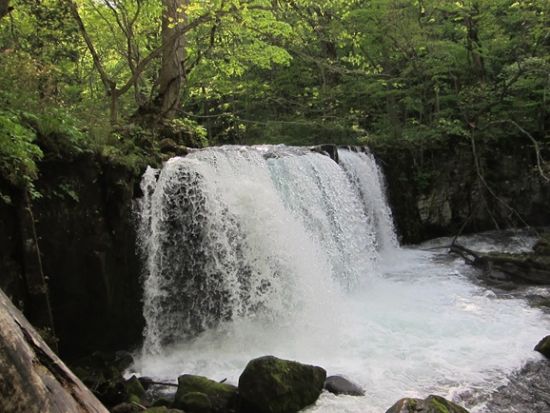 貸切観光タクシー  青森県人気観光地の奥入瀬渓流と十和田湖を巡る6時間コース＜1～9名／八戸駅、八戸市内発／星野リゾート青森屋お送り＞by ポストタクシー