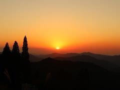 10747411504_IMG_0558