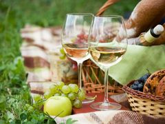 Picnic_Wine_shutterstock_115565956 (1)