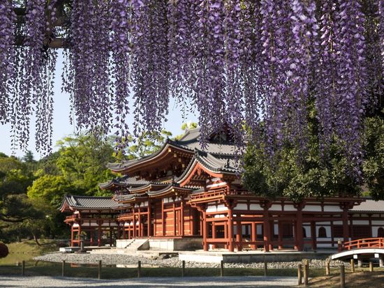 FU-1鳳凰堂と藤m