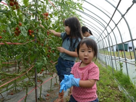 富良野 1泊2日宿泊ツアー Eバイクサイクリング 野菜収穫 養蜂体験付き 貸別荘sora 1棟まるごと貸切 8月 富良野発 By トラベル北海道 富良野 美瑛 旭川の観光 遊び 体験 レジャー専門予約サイト Veltra ベルトラ