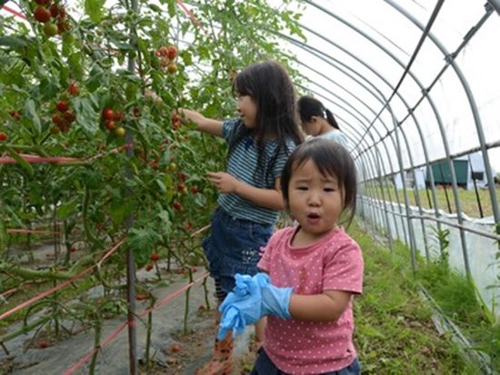 富良野 1泊2日宿泊ツアー Eバイクサイクリング 野菜収穫 養蜂体験付き 貸別荘sora 1棟まるごと貸切 8月 富良野発 By トラベル北海道 富良野 美瑛 旭川の観光 遊び 体験 レジャー専門予約サイト Veltra ベルトラ 富良野 1泊2日宿泊ツアー Eバイクサイクリング 野菜収穫 養蜂体験付き 貸別荘sora 1棟まるごと貸切 8月 富良野発 By トラベル北海道 富良野 美瑛 旭川の観光 遊び 体験 レジャー専門予約サイト Veltra ベルトラ