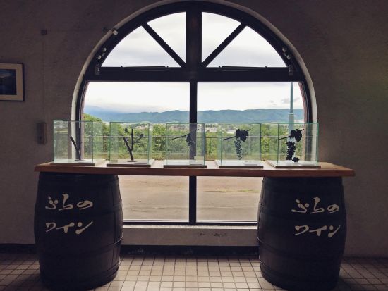 貸切観光タクシー　富良野　ファーム富田＋ふらのワイン　絶景レストランにて昼食＜4時間／1～4名／富良野市内・旭川市内・旭川空港発着＞by 嵐山タクシー