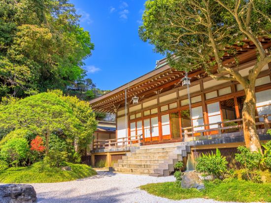 人力車で行く鎌倉観光ツアー 「鎌倉殿の13人」ゆかりの地を定番スポットから穴場まで人力車ならではのフットワークでご案内！＜ガイド付／英語オプション有／鎌倉＞