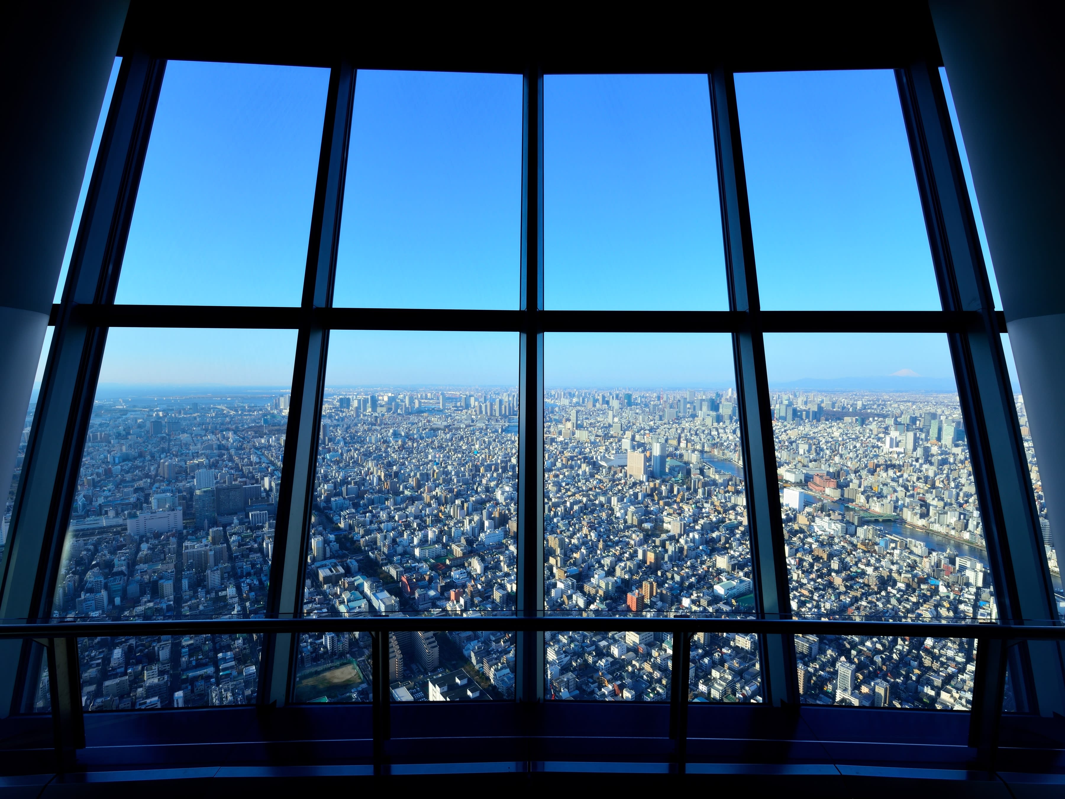 東京スカイツリー 初日の出特別営業チケットペア 買い保障できる www