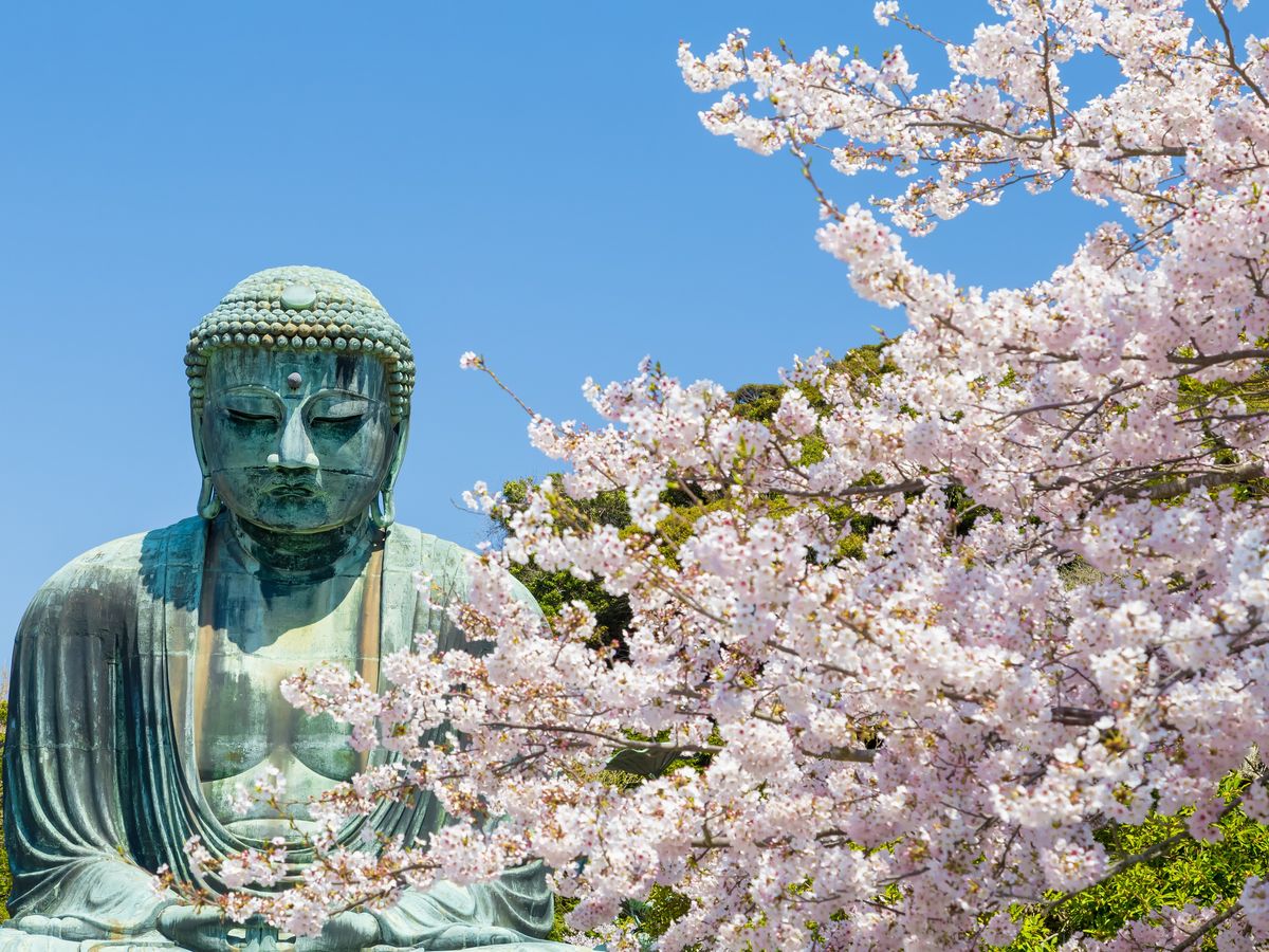 鎌倉観光タクシー 銭新井弁天+高徳院(鎌倉大仏)+極楽寺 神社 鎌倉観光タクシー 銭新井弁天+高徳院(鎌倉大仏)+極楽寺 神社