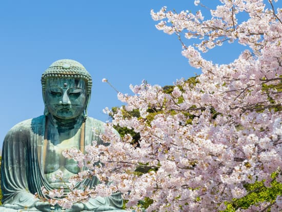 Japan_Kanagawa_Kamakura_buddhacherry_blossom_shutterstock_1052557481