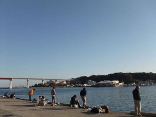 三浦半島 レンタルバイク 普通免許で運転できる原付スクーターで城ヶ島やマグロの三崎港にも行ける3時間プラン＜午前・午後／三浦うみかぜレンタバイク／三浦海岸駅＞