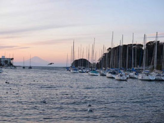 神奈川県-三浦-レンタサイクル (6)