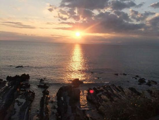 神奈川県-三浦-レンタサイクル (4)