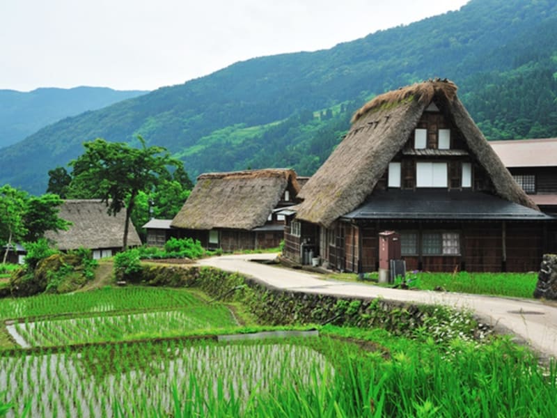 五箇山 菅沼合掌造り集落ウォーク 五箇山御膳の昼食付き 午前 五箇山 富山の観光 遊び 体験 レジャー専門予約サイト Veltra ベルトラ