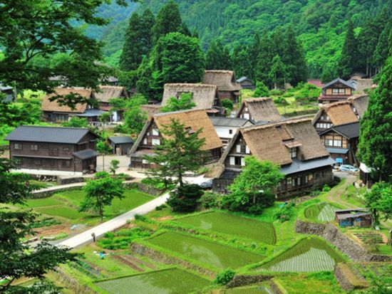 五箇山 菅沼合掌造り集落ウォーク　五箇山御膳の昼食付き＜午前／五箇山＞