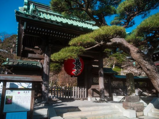 鎌倉観光タクシー　鶴岡八幡宮＋長谷寺＋小町通　古都鎌倉の名所を巡る＜1日／1～9名／横浜エリア送迎あり＞