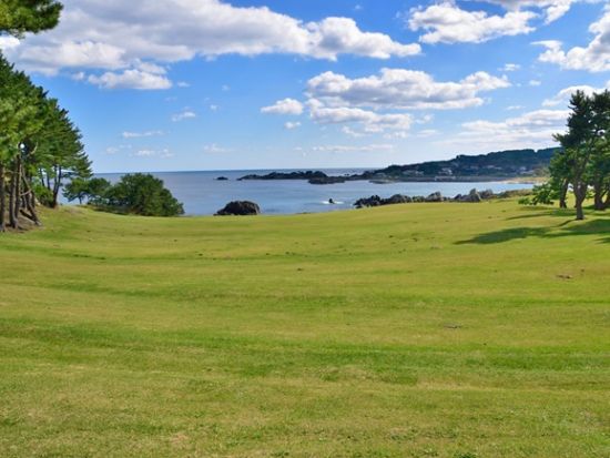 貸切観光タクシー 三陸復興国立公園種差海岸・蕪島と約60店舗が軒を連ねる巨大市場「八食センター」を巡る旅＜3時間／通年／JR・青い森鉄道八戸駅又は八戸市内発着＞