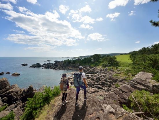 貸切観光タクシー 三陸復興国立公園蕪島＋葦毛崎展望台＋種差海岸を駆け足で巡る旅！＜2時間／通年／JR・青い森鉄道八戸駅又は八戸市内発着＞byポストタクシー
