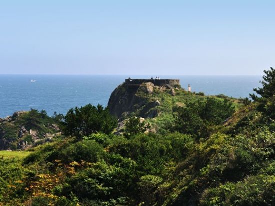 貸切観光タクシー 三陸復興国立公園蕪島＋葦毛崎展望台＋種差海岸を駆け足で巡る旅！＜2時間／通年／JR・青い森鉄道八戸駅又は八戸市内発着＞byポストタクシー