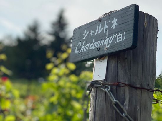 さっぽろ藤野ワイナリー