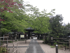 京都御苑~皇室ゆかりの場所をめぐる~ツアー立ち寄り先の梨木神社