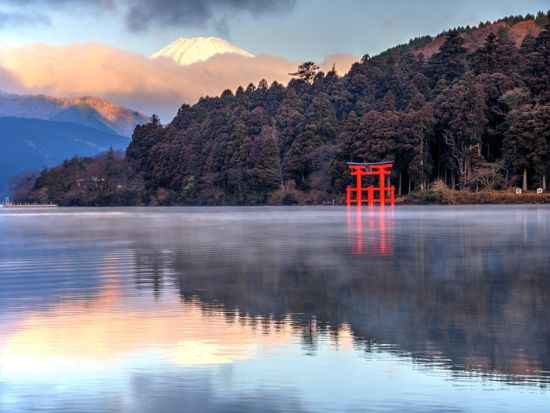 【愛犬連れOK】芦ノ湖遊覧船乗船チケット　選べる40分周遊コース＜箱根園港・元箱根港・箱根関所跡港発着＞