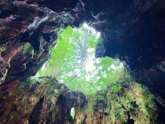 【貸切】縄文杉トレッキングツアー　＜40代以上または超初心者限定＞ byA・N・D