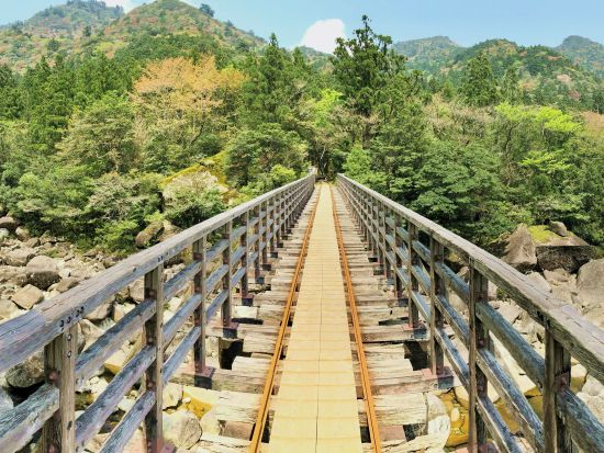 【貸切】縄文杉トレッキングツアー　＜40代以上または超初心者限定＞ byA・N・D