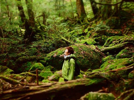 【貸切】白谷雲水峡（太鼓岩）トレッキングツアー　＜40代～50代または超初心者限定＞ by A・N・D