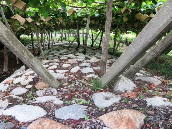 ⑨日川治水施設