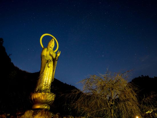 星空観賞で心のデトックス！福王山 正覚寺 宿坊体験｜夕・朝食付 1泊2日 坐禅・精進料理・朝のお勤め・法話・作務など＜1名様より受付／飯能市＞