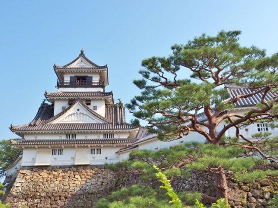 高知貸切観光タクシー フリープラン　高知市内のお好きな観光地へご案内します！＜1・3・5・7時間／1～9名／選べる出発時間／高知市内発＞