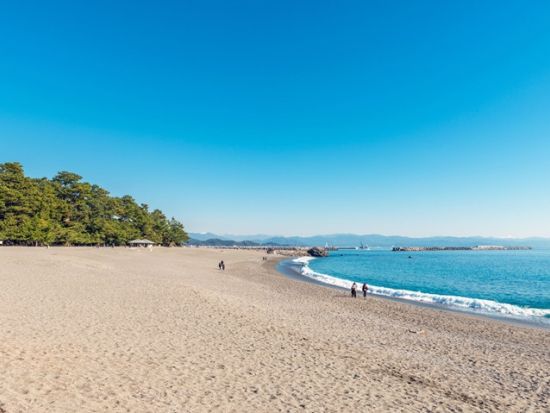 高知市内貸切名所ツアー　桂浜＋高知城・はりまや橋　選べる観光地＜3時間／選べる出発時間／高知市内発＞