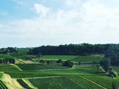 IMG_1554