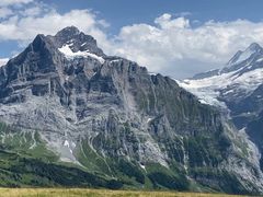 IMG_5424.MOV