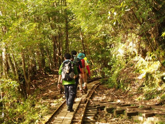 【充実の登山装備レンタル付き】屋久島 縄文杉日帰りトレッキングツアー　登山口までの送迎手配も可能　by Yamakara屋久島