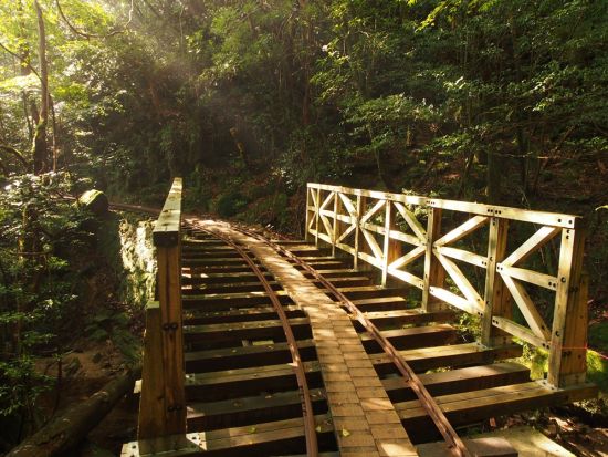 白谷雲水峡＆縄文杉1泊トレッキング　登山靴や寝袋など8点装備レンタル無料！宿泊先～登山口間の送迎代も込み！ by Yamakara屋久島