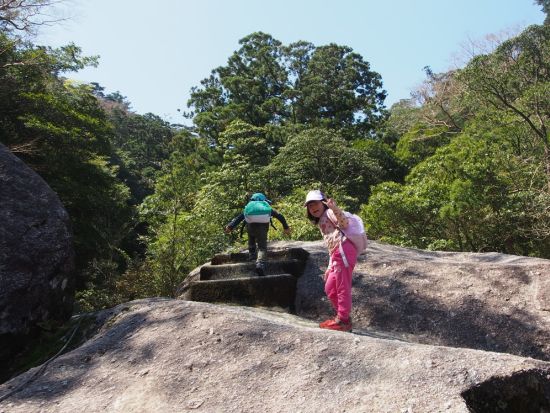 白谷雲水峡＆縄文杉1泊トレッキング　登山靴や寝袋など8点装備レンタル無料！宿泊先～登山口間の送迎代も込み！ by Yamakara屋久島